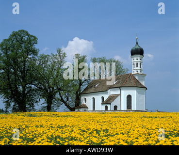 Andreas église près de réglage, le pissenlit prairie au printemps, en Haute-bavière, Allemagne Banque D'Images