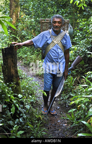 Collectionneur de noix du Brésil (Castanheiro) à pied de l'oliveraie, bassin amazonien, d'Amapá, Brésil Banque D'Images