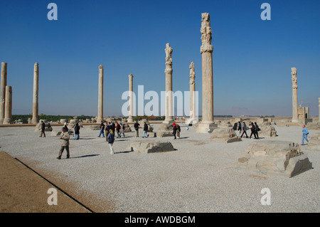 Apadana (salle de réception), Persepolis, Iran Banque D'Images