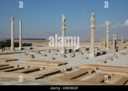 Apadana (salle de réception), Persepolis, Iran Banque D'Images