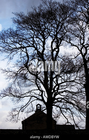 Waitby la silhouette des arbres de chêne et de l'école. La région de Cumbria. UK Banque D'Images