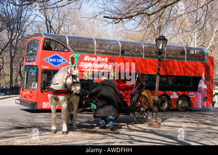 Transport de chevaux et d'excursion à Central Park à New York Banque D'Images