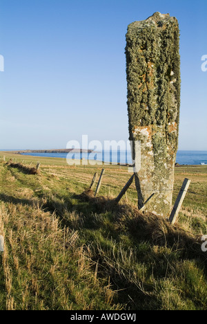 Dh Eastside SOUTH RONALDSAY ORKNEY standing stone in field Banque D'Images