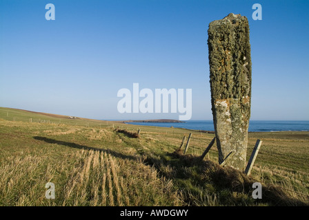 dh Eastside SOUTH RONALDSAY ORKNEY Pierre debout dans le monolithe de champ Banque D'Images