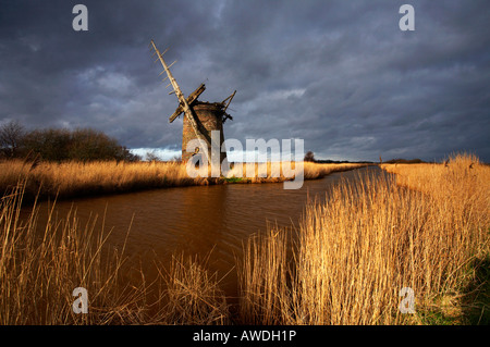 Les vestiges d'Brograve / Moulin Moulin de drainage sur l'Horsey Estate, Waxham nouvelle coupe, Norfolk Broads Banque D'Images