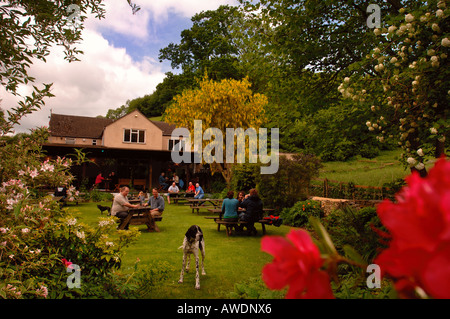 Le NEW INN À WATERLEY BAS PRÈS DE DURSLEY GLOUCESTERSHIRE UK Banque D'Images