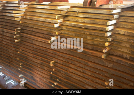 Des planches de bois dans un atelier de réparation des bateaux, diffusés pour sécher Banque D'Images