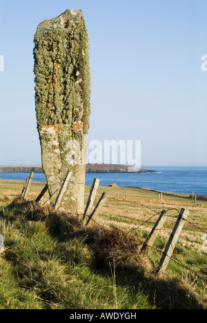 Dh Eastside SOUTH RONALDSAY ORKNEY standing stone in field Banque D'Images