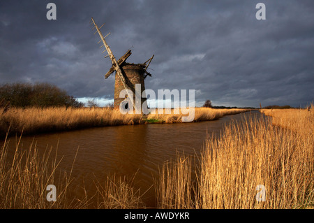 Les vestiges d'Brograve / Moulin Moulin de drainage sur l'Horsey Estate, Waxham nouvelle coupe, Norfolk Broads Banque D'Images