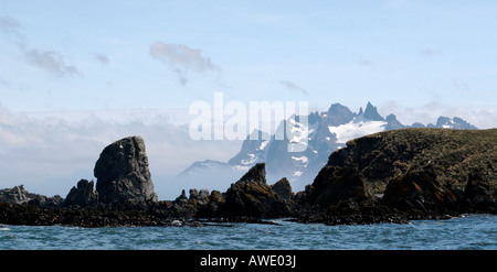 Affleurement rocheux sur l'île de Géorgie du Sud avec les montagnes enneigées en arrière-plan Banque D'Images