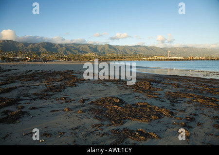 CALIFORNIA Santa Barbara des algues sur la plage de l'ouest à marée basse Stearns Wharf et montagne en arrière-plan Banque D'Images