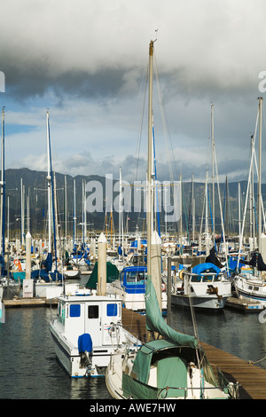 CALIFORNIA Santa Barbara voiliers et bateaux de tailles diverses amarré au port et marina Banque D'Images