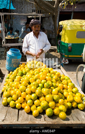 En exposant les Indiens de la rue du marché de la vente des oranges à partir d'un panier à Agra Uttar Pradesh dans le Nord de l'Inde Asie Banque D'Images