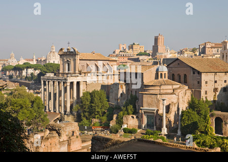 Le Temple d'Antonin et Faustine et le temple de Romulus vu à partir de la colline du Palatin, Forum Romanum (Forum romain), Rome, Italie Banque D'Images