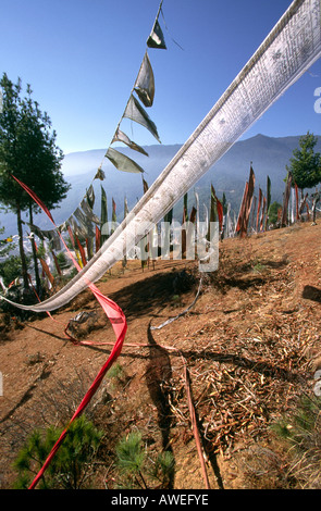 Bhoutan Thimphu les drapeaux de prières à Changankha Lhakhang Banque D'Images