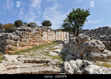 Chemin ancien, ruines datant du cinquième siècle avant Jésus-Christ (période dorique), Lato, Crète, Grèce, Europe Banque D'Images