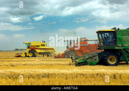 La récolte des céréales multiples allie à la récolte mondiale pour les enfants dans l'événement Winkler Manitoba Canada Banque D'Images