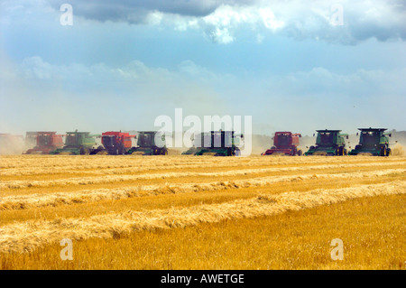 La récolte des céréales multiples allie à la récolte mondiale pour les enfants dans l'événement Winkler Manitoba Canada Banque D'Images