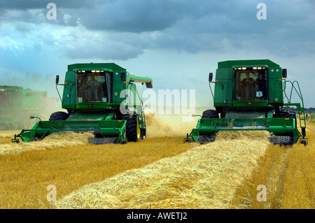 La récolte des céréales multiples allie à la récolte mondiale pour les enfants dans l'événement Winkler Manitoba Canada Banque D'Images