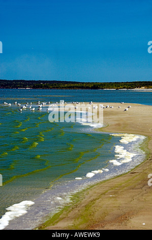 Floraison d'algues bleu-vert à Grand Beach sur le lac Winnipeg Manitoba Canada Banque D'Images