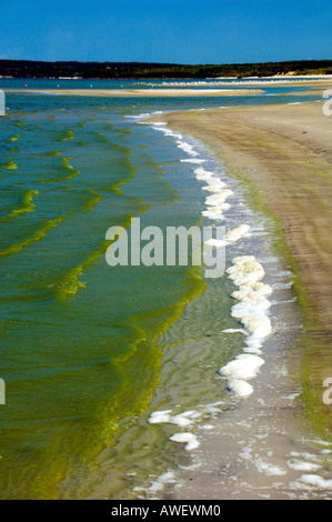 Floraison d'algues bleu-vert à Grand Beach sur le lac Winnipeg Manitoba Canada Banque D'Images