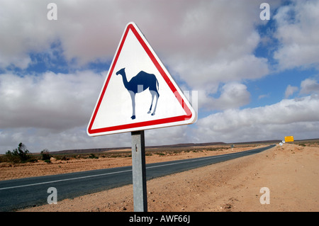 Méfiez-vous des chameaux panneau routier dans le sud du Maroc Banque D'Images