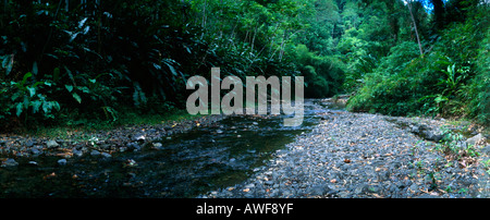 Tobago Argyll Falls Banque D'Images