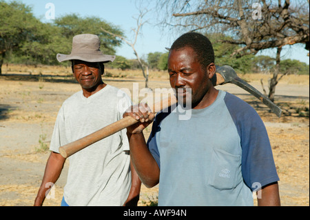 La recherche d'un guérisseur traditionnel, herbes médicinales Sehitwa, Botswana, Africa Banque D'Images