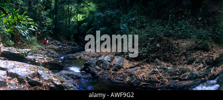 Tobago Argyll Falls Banque D'Images