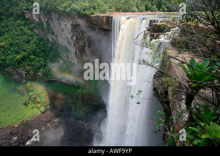 Cascades, Potaro Kaieteur National Park, au Guyana, en Amérique du Sud Banque D'Images