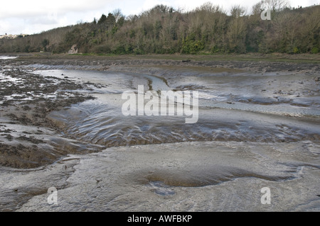 Les vasières tidales découverte à marée basse, Pembroke, rivière du sud-ouest de Pembrokeshire Wales UK Banque D'Images