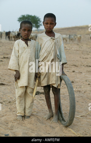 Deux garçons et un vieux pneu en face d'un troupeau de zébus, région du Sahel, le Cameroun, l'Afrique Banque D'Images