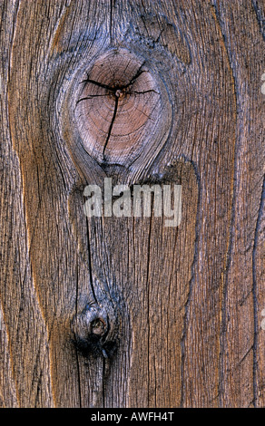 Dans Knothole une planche de bois, détail Banque D'Images