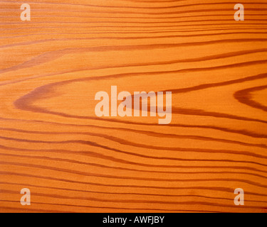 Bois de mélèze, detail shot structure montrant Banque D'Images