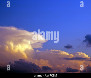 Cumulonimbus orageux dans un ciel bleu, approchant orage Banque D'Images