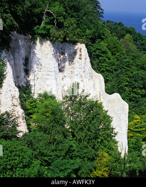 ('Kreidefelsen Falaises de craie") au Parc National de Jasmund, Ruegen Island, Mecklembourg-Poméranie-Occidentale, Allemagne, Europe Banque D'Images