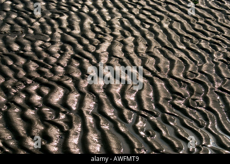 Des modèles dans le sable laissé par la marée receeding Banque D'Images