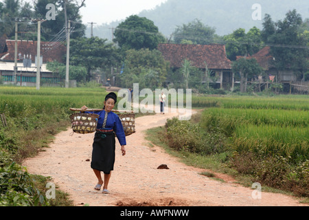 L'agriculteur récolte pour le marché, Chien Koi, Province de Son La, Vietnam, Asie Banque D'Images