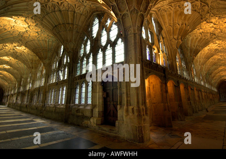 Vue le long du magnifique cloître de la cathédrale de Gloucester avec le célèbre plafond voûté du ventilateur Banque D'Images