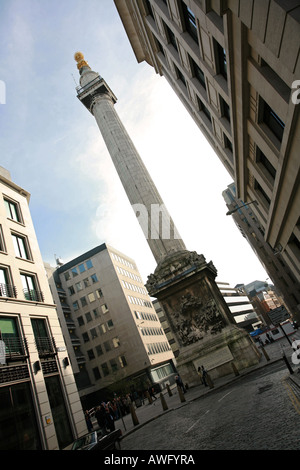 Christopher Wren's Monument au Grand Incendie de Londres en 1666 Ville de Londres London England Angleterre UK Europe EU Banque D'Images