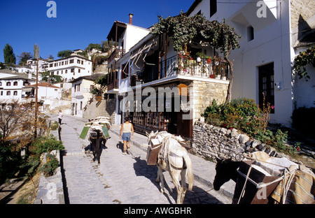 Grèce centrale thessalie pélion pélion village de makrinitsa ânes dans main street Banque D'Images