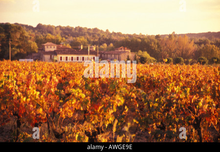 France Gard hameau de Fontanes Domaine de Guyot vignoble en automne Banque D'Images