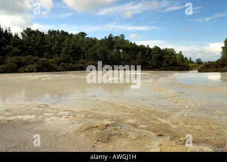 Champagne Pool. Wai O Tapu. Rotorua. L'Île du Nord. Nouvelle Zélande Banque D'Images