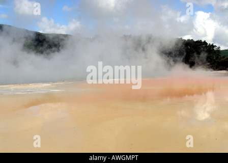 Champagne Pool. Wai O Tapu. Rotorua. L'Île du Nord. Nouvelle Zélande Banque D'Images