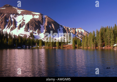 USA, Colorado, Atlas Lac, entouré de forêts de pins et montagnes couvertes de neige Banque D'Images