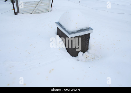 Les abeilles en hiver l'avion pendant les journées chaudes pour déféquer. Taches d'excréments d'abeilles sont visibles dans la neige autour de cette ruche. Banque D'Images