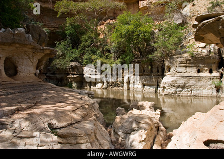 Sof Omar grotte, près de Bale Montagnes, Ethiopie, Afrique Banque D'Images