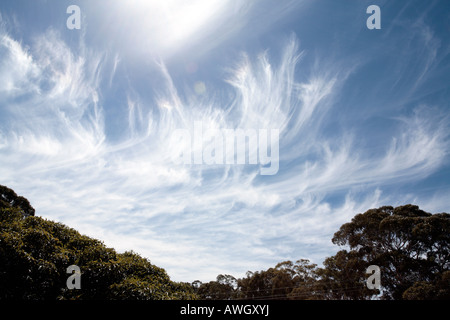 Cirrus Uncinus Nuages et rayons de soleil Banque D'Images