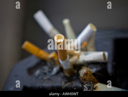 Les mégots de cigarettes cogné bloqué dans un cendrier improvisé. Banque D'Images