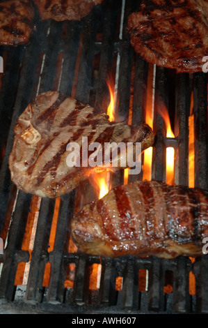 La cuisson des steaks sur un grill ouvert dsc 7716 Banque D'Images